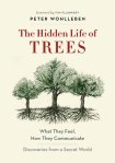 Hidden Life of Trees